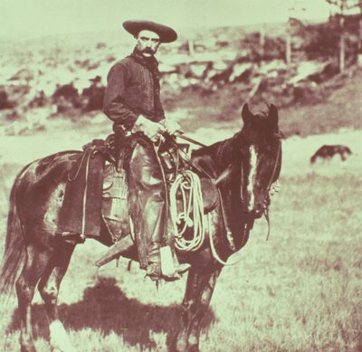 Montana Cowboy, c.1880 by American Photographer